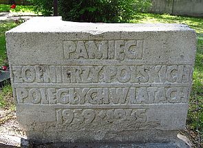 Pomnik Żołnierz Polski, ulica Szarych Szeregów